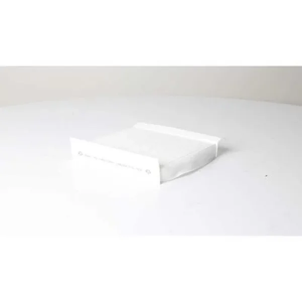 Fiat Egea 1.4 Fire 2015- Polen Filtresi - BSG