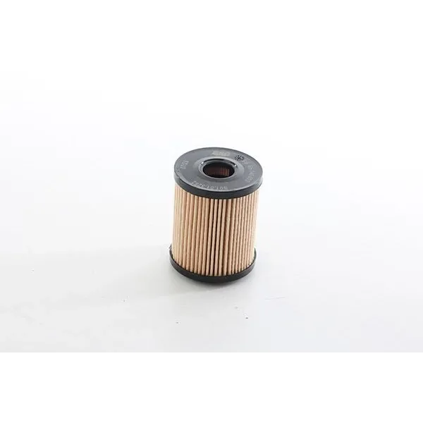 Fiat Egea Cross 1.3 Multijet Euro 5 2020- Yağ Filtresi - BSG