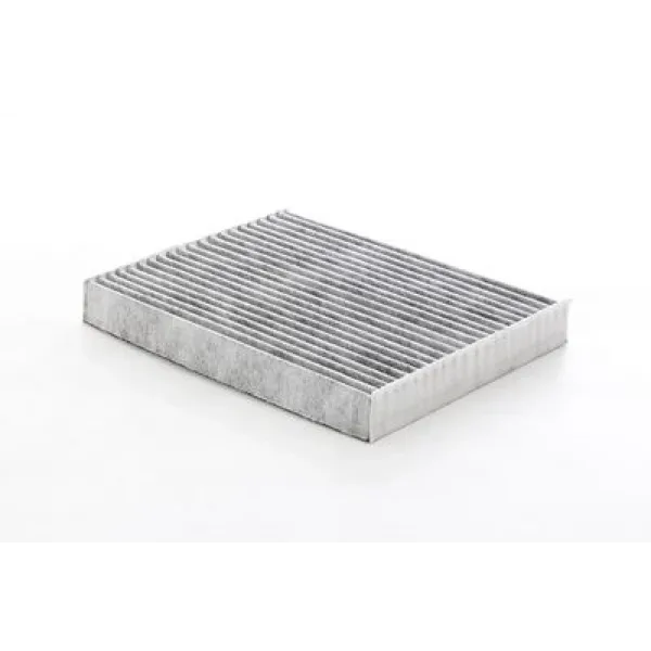 Ford Kuga 1.5 EcoBoost 2022- Karbonlu Polen Filtresi - BSG