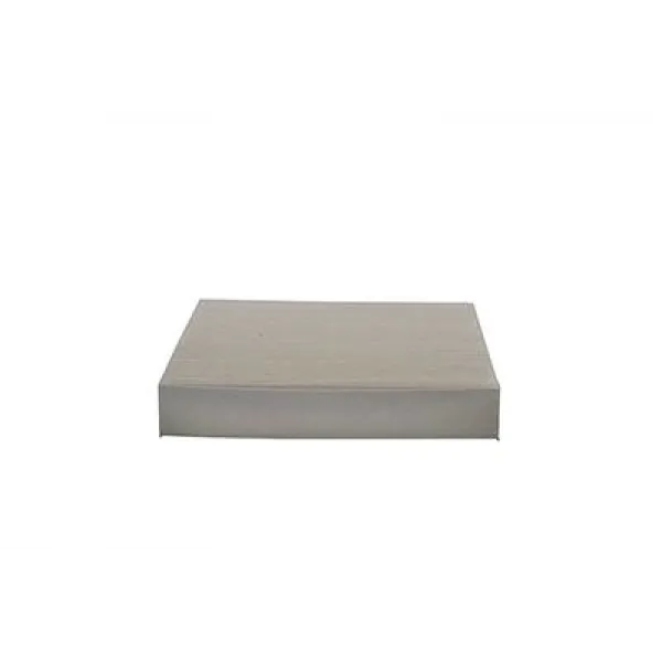 Ford Mondeo 1.6 TDCi 2011-2015 Polen Filtresi - BSG