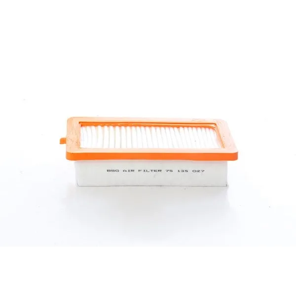 Renault Clio 5 1.0 Tce 2020- Hava Filtresi - BSG (1.Tip)