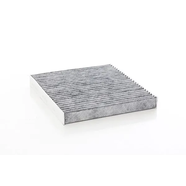 Seat Leon 1.0 eTsi Dsg 2021- Karbonlu Polen Filtresi - BSG