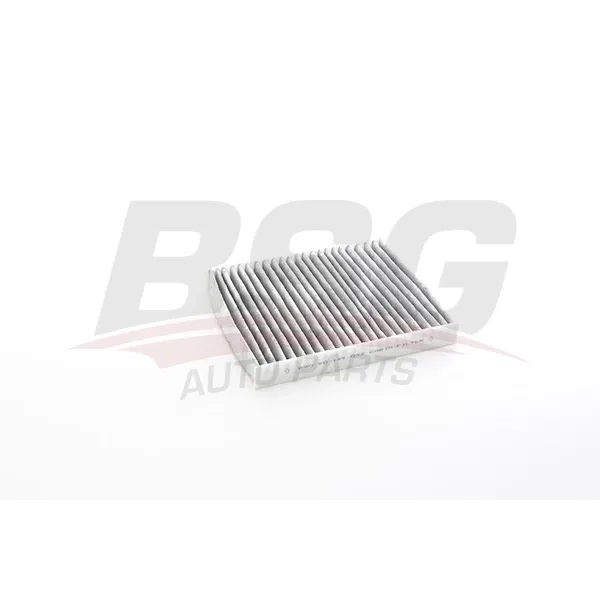 Skoda Kamiq 1.5 TSi 2020- Polen Filtresi - BSG (DXDB)