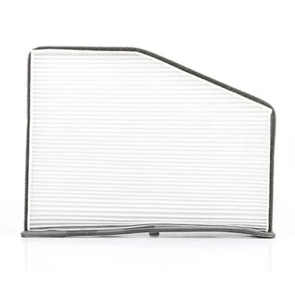 Volkswagen Caddy 1.6 TDi 2010-2015 Polen Filtresi - BSG