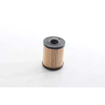 Fiat Egea Cross 1.3 Multijet Euro 5 2020- Yağ Filtresi - BSG