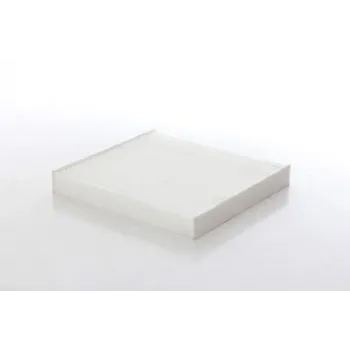 Honda Civic 1.6 2006-2016 Polen Filtresi - BSG