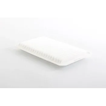 Mazda 3 1.6 2003-2013 Hava Filtresi - BSG