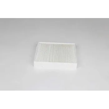 Renault Clio 5 1.0 Tce 2020- Polen Filtresi - BSG