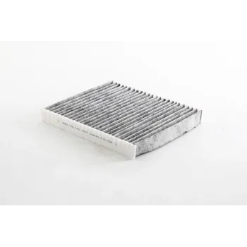 Seat Arona 1.0 Tsi 2020- Karbonlu Polen Filtresi - BSG