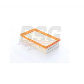 Seat Leon 1.0 eTsi Dsg 2021- Hava Filtresi - BSG