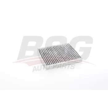 Skoda Kamiq 1.5 TSi 2020- Polen Filtresi - BSG (DXDB)