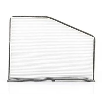 Volkswagen Caddy 1.6 TDi 2010-2015 Polen Filtresi - BSG