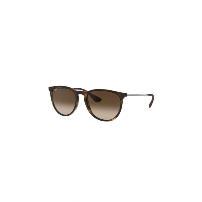 Ray-Ban 4171 865/13 54 Unisex Güneş Gözlüğü