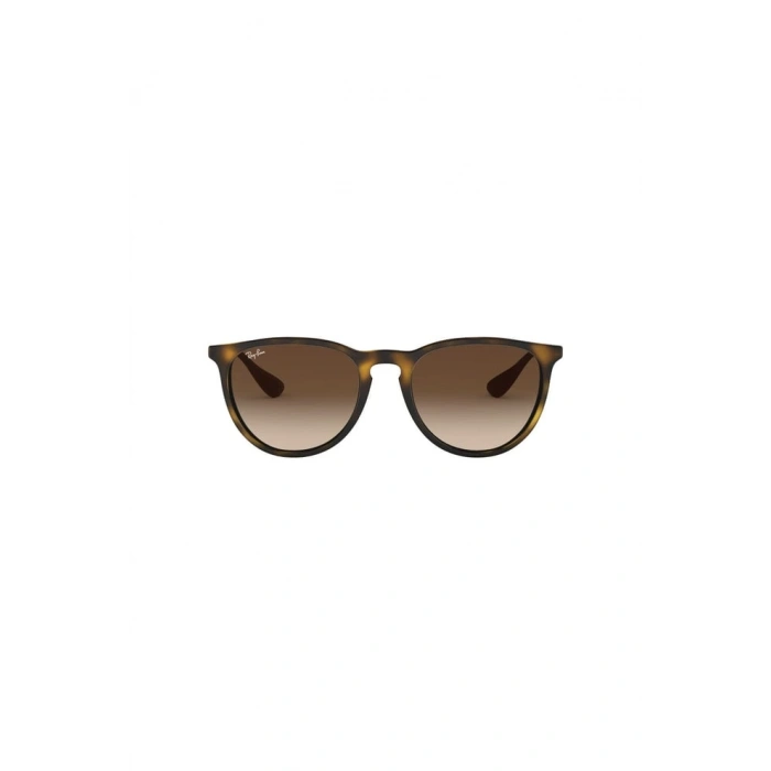 Ray-Ban 4171 865/13 54 Unisex Güneş Gözlüğü