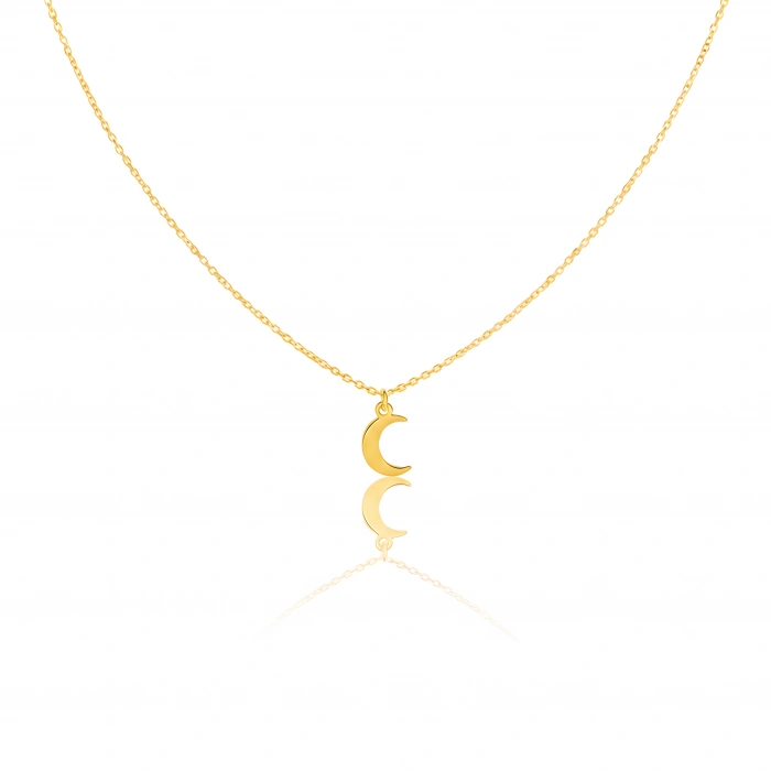 Ay Gümüş Kolye - Altın