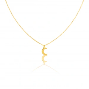 Ay Gümüş Kolye - Altın