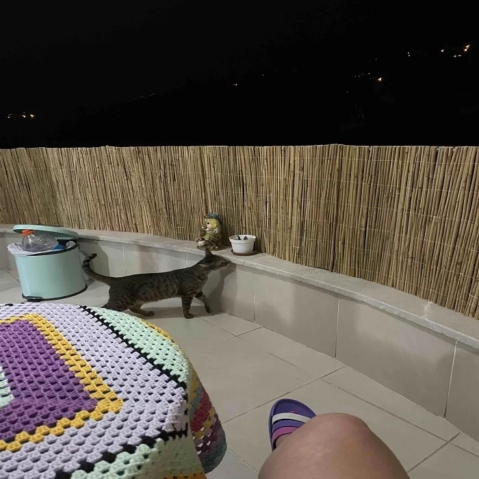 90 CM X 2,50 Metre Hasır Balkon Çiti