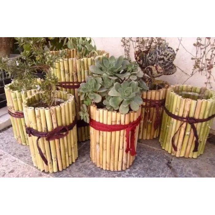 Bambu Kargı Çubuk 1 Metre 10 Adet