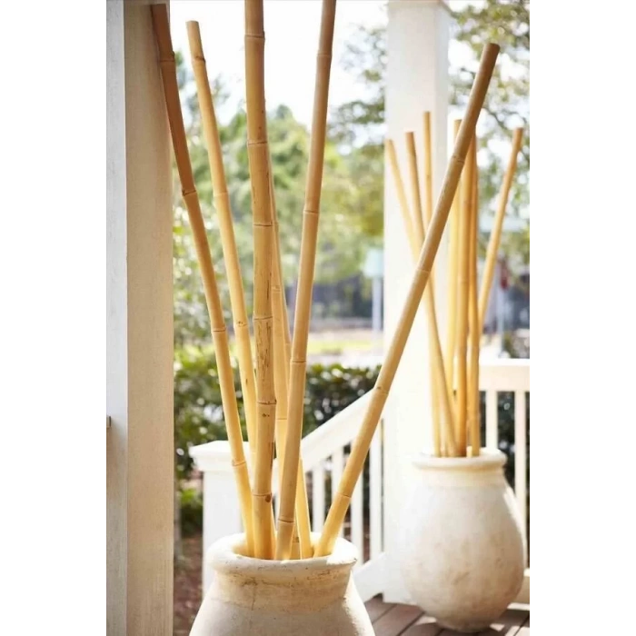 Bambu Kargı Çubuk 1 Metre 10 Adet