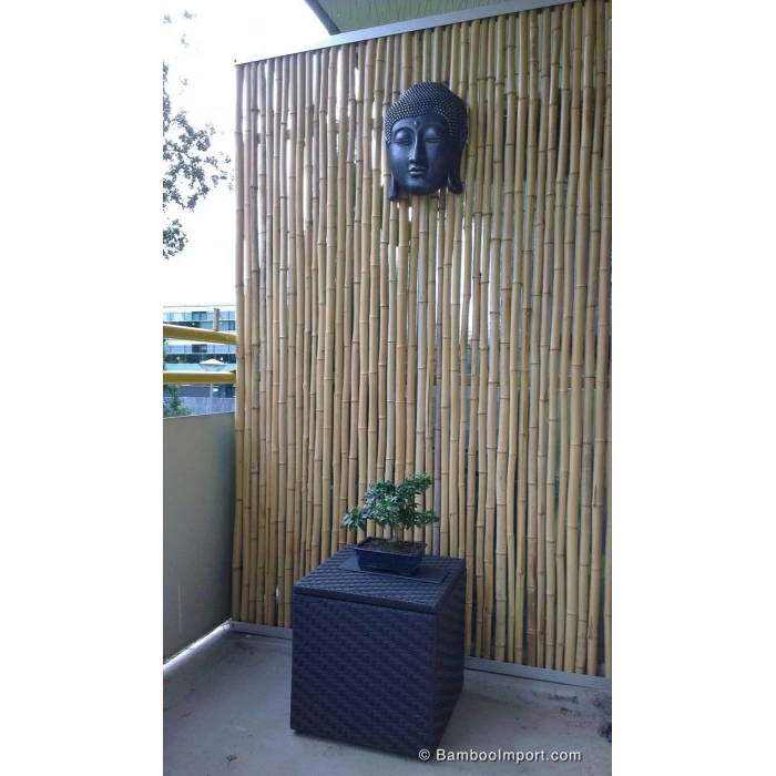 Bambu Kargı Çubuk 1.50 Metre 10 Adet