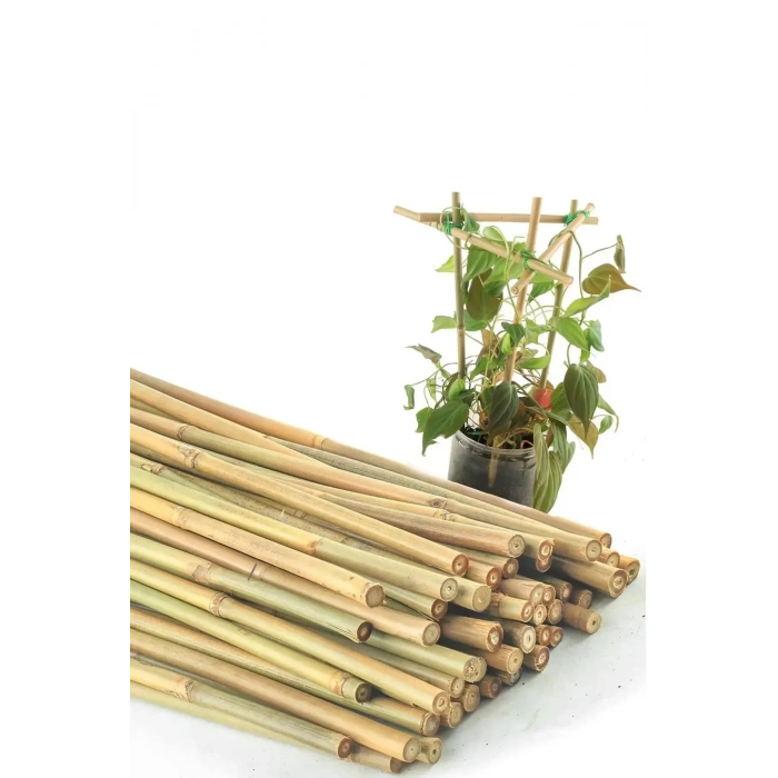 Bitki Destek Çubuğu Bambu | 90 cm 15 Adet Kamış Kargı Bitki Destek Çubukları