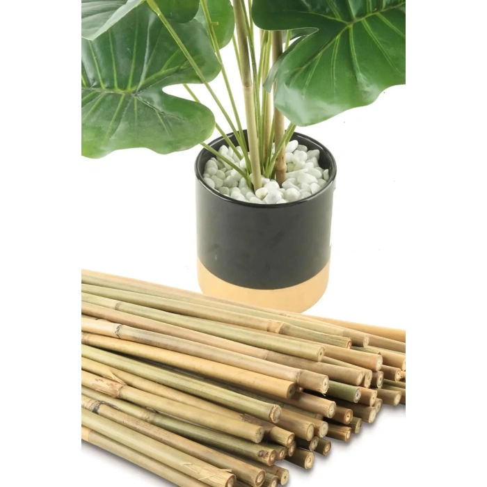 Bitki Destek Çubuğu Bambu | 90 cm 15 Adet Kamış Kargı Bitki Destek Çubukları