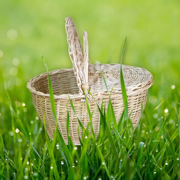 Büyük Boy XXL Hasır Kapaklı Piknik Sepeti