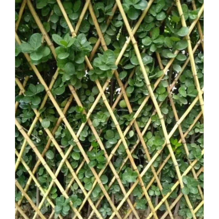 Hasır Çit Akardiyon Paravan Bambu 90cm x 180 cm