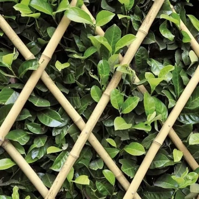 Hasır Çit Akardiyon Paravan Bambu 90cm x 180 cm