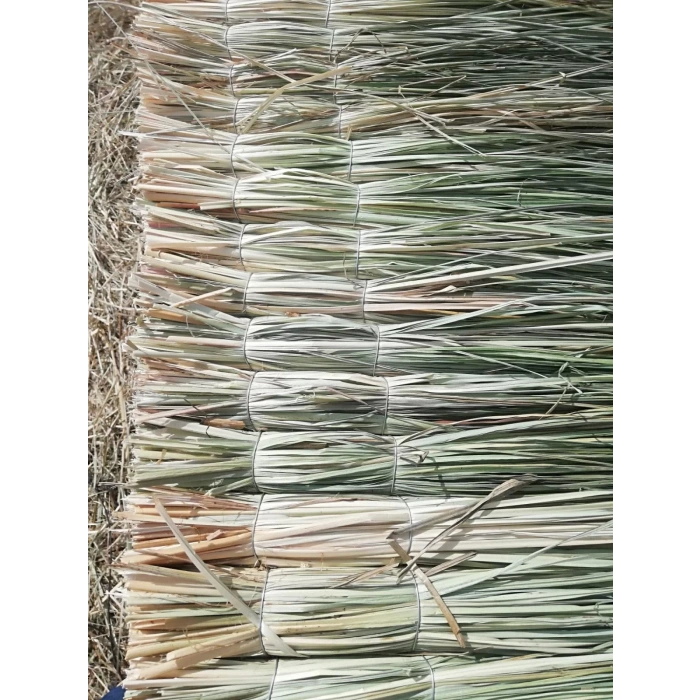 Hasır Püskül Otu Saçaklı Ot 1 Metre x 2 Metre