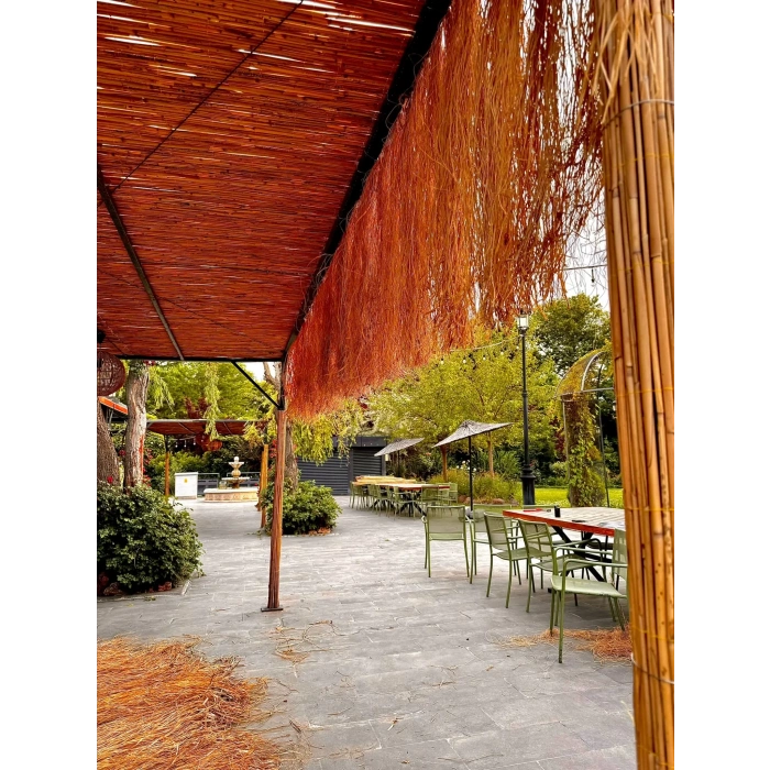 Hasır Püskül Otu Saçaklı Ot 1,20 Metre x 75 cm