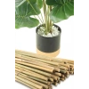 Bitki Destek Çubuğu Bambu | 90 cm 15 Adet Kamış Kargı Bitki Destek Çubukları