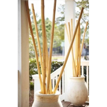 Bambu Kargı Çubuk 1.50 Metre 10 Adet