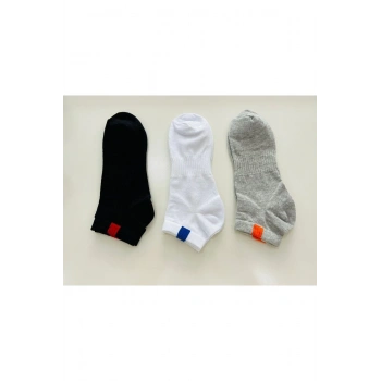 Erkek Basic Çorap 3lü