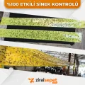 Sinek Yakalama Bandı 30x50 Metre