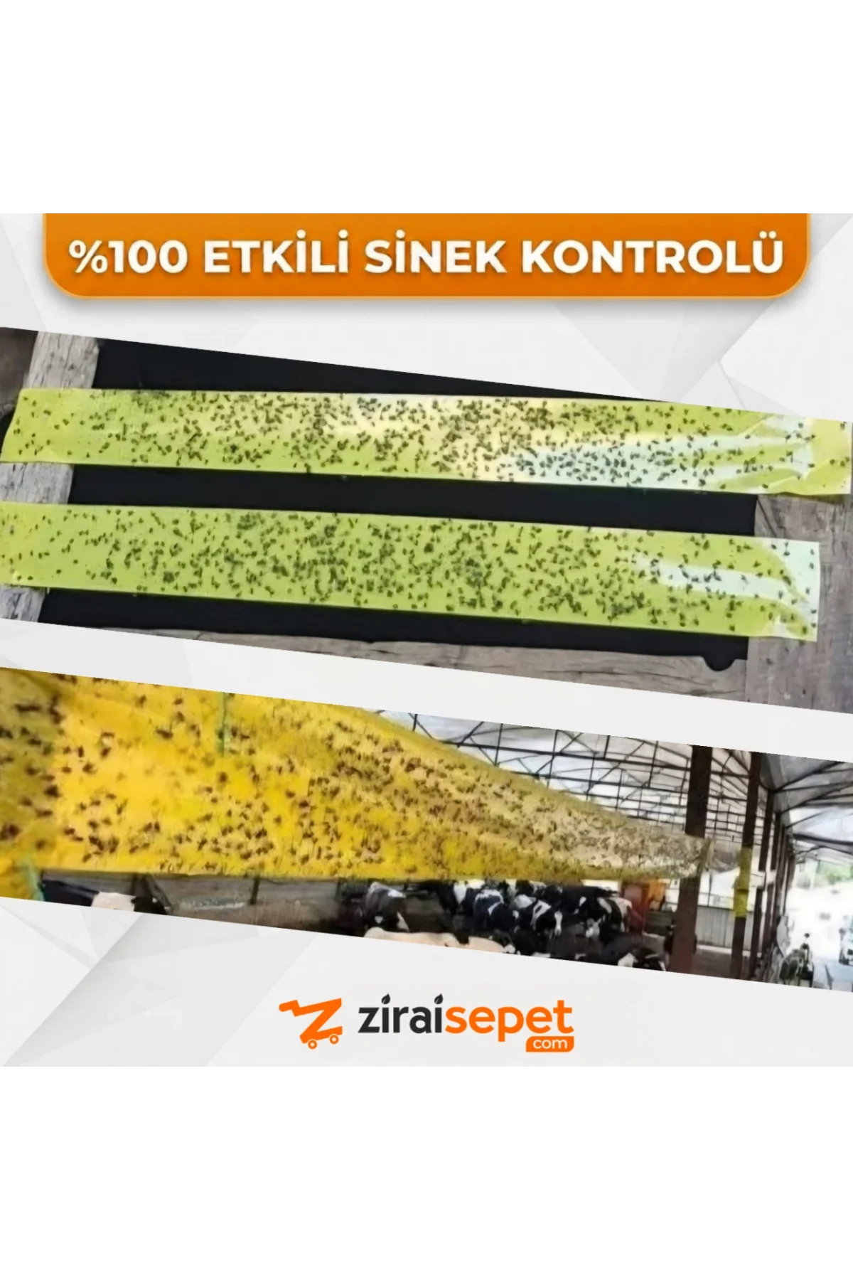 Sinek Yakalama Bandı 30x50 Metre