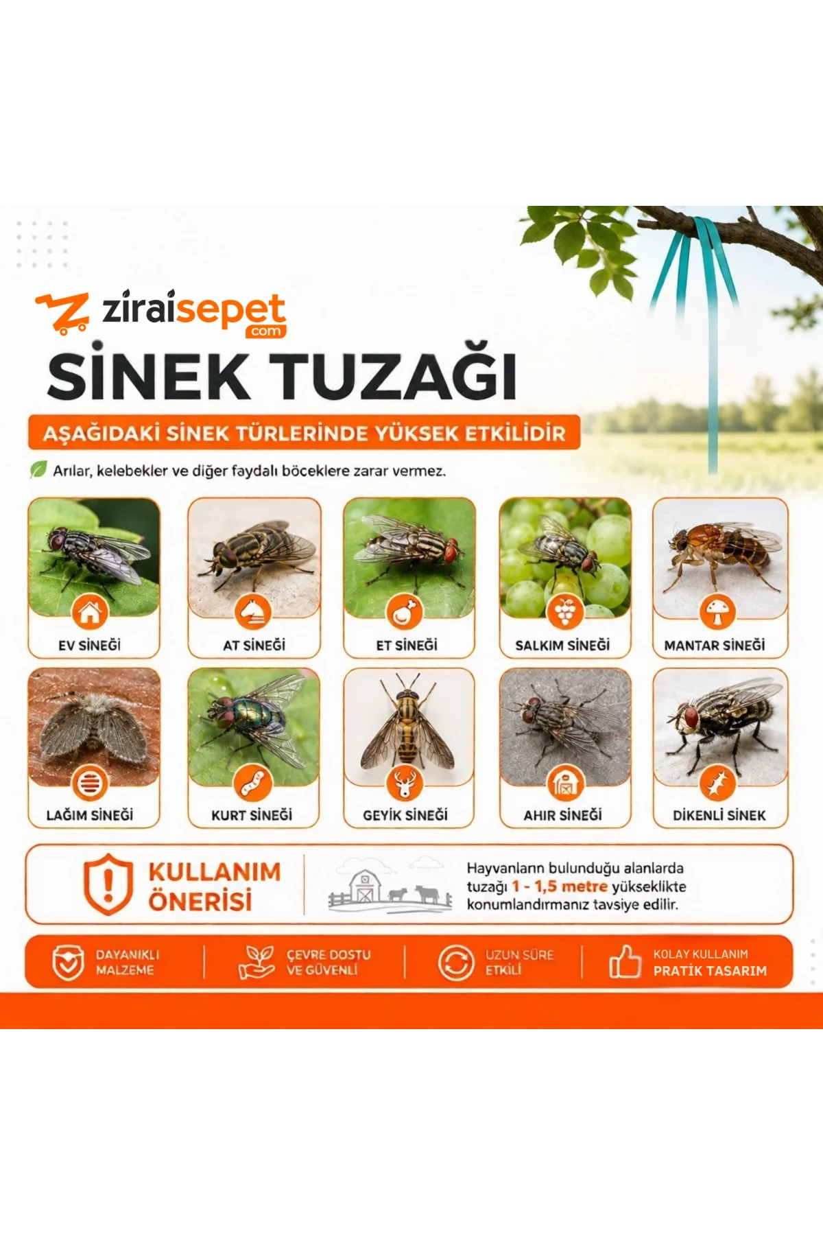 Ziraisepet Profesyonel Karasinek Tuzağı & Sinek Kapanı