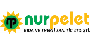 Nur Pelet