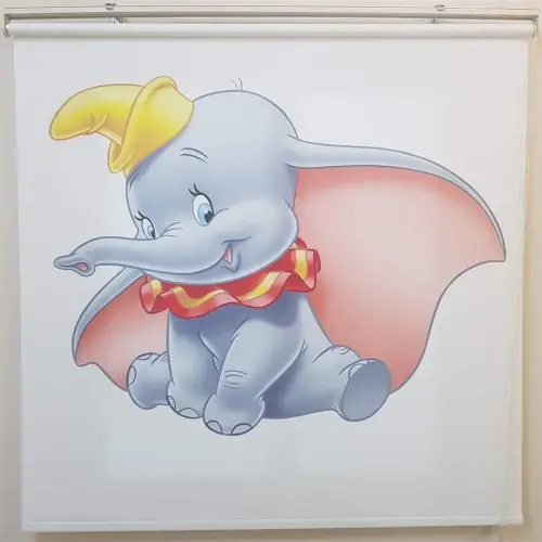 Kişiye Özel Dijital Baskılı Stor Perde