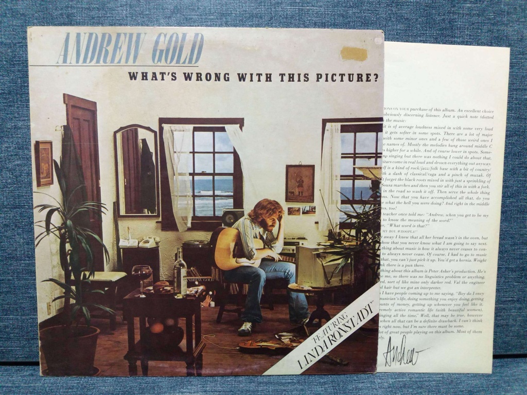 Andrew Gold Whats Wrong Picture