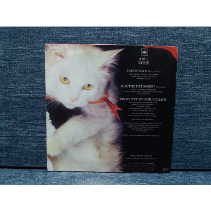 ADAM ANT PUSS N BOOTS