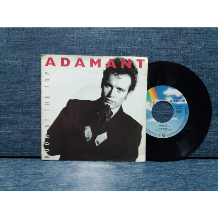 ADAM ANT ROOM AT THE TOP