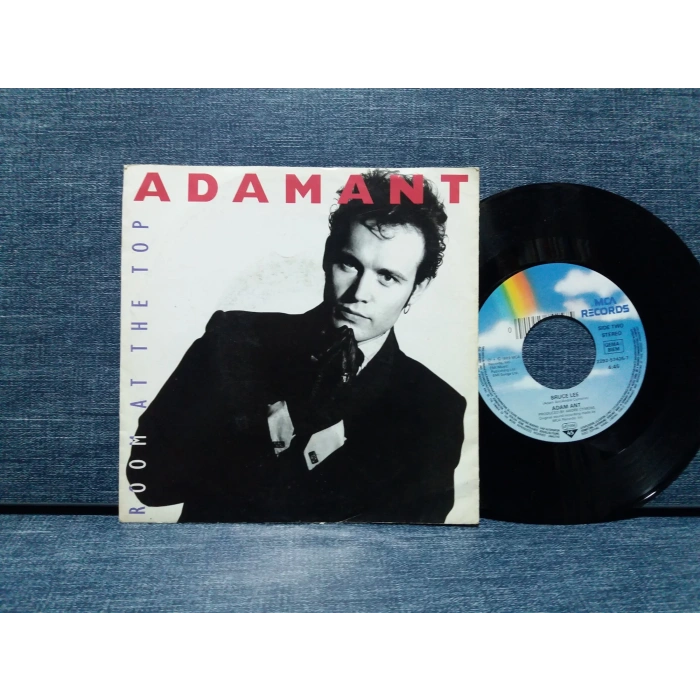 ADAM ANT ROOM AT THE TOP