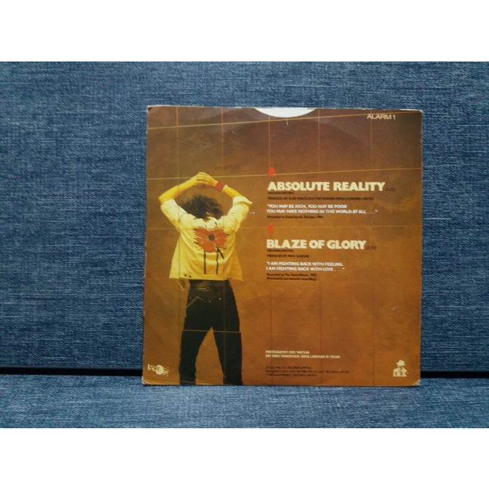 ALARM ABSOLUTE REALITY