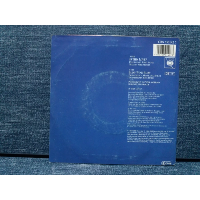 ALISON MOYET IS THIS LOVE