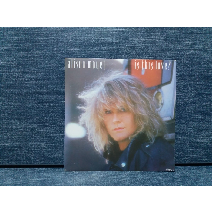 ALISON MOYET IS THIS LOVE