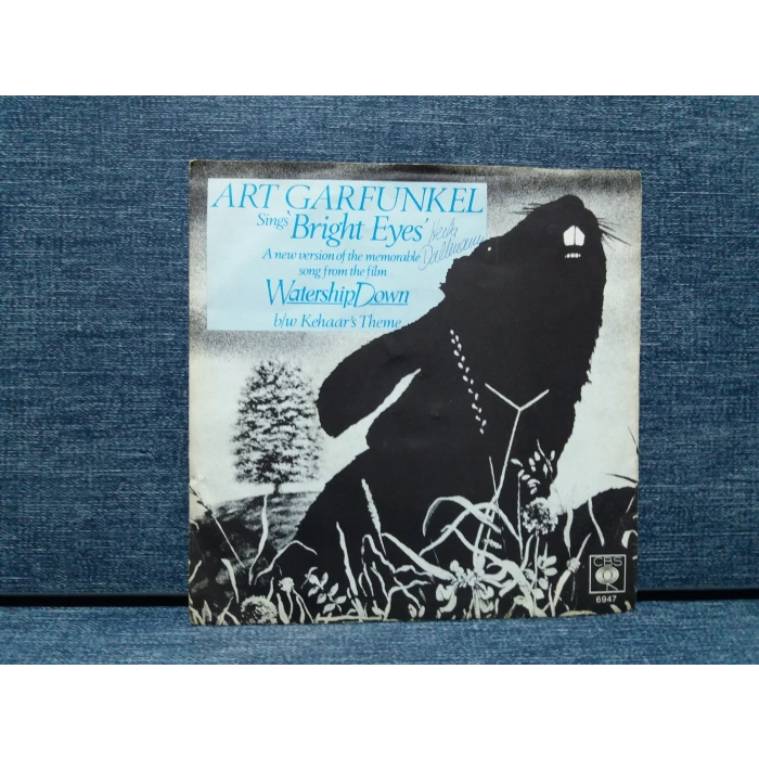 ART GARFUNKEL BRIGHT EYES WATERSHIP