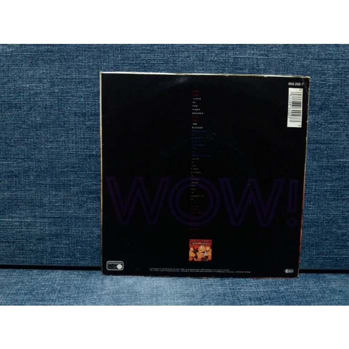 BANANARAMA LOVE IN THE FIRST DEGREE - MR SLEAZE