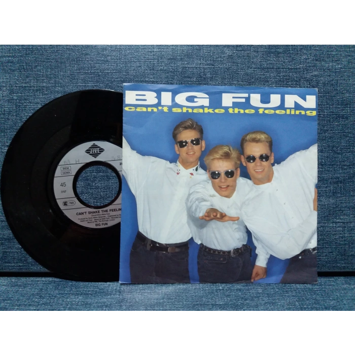 BIG FUN CANT SHAKE THE FEELING