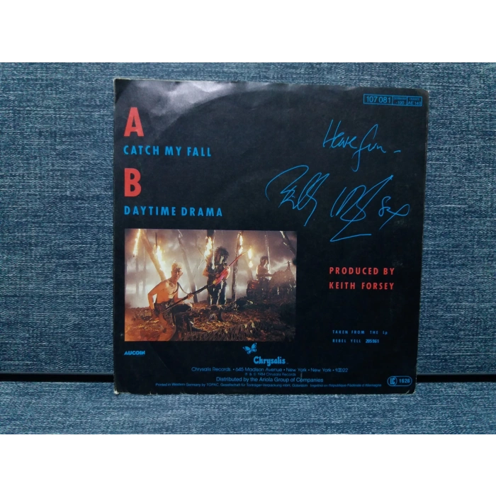 BILLY IDOL CATCH MY FALL